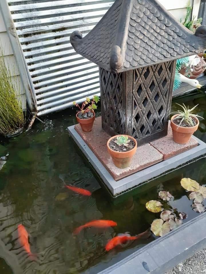 Homestay With A View *